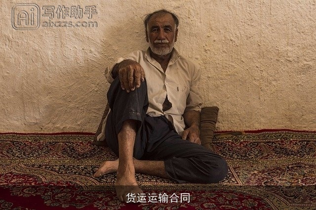 货运运输合同 货运运输合同