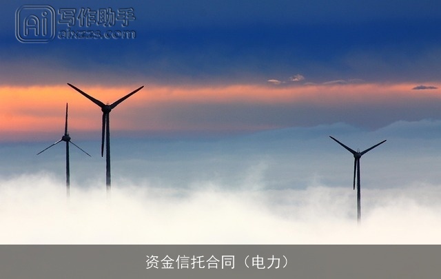 资金信托合同(电力) 资金信托合同(电力)