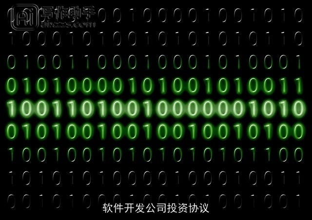 软件开发公司投资协议 软件开发公司投资协议