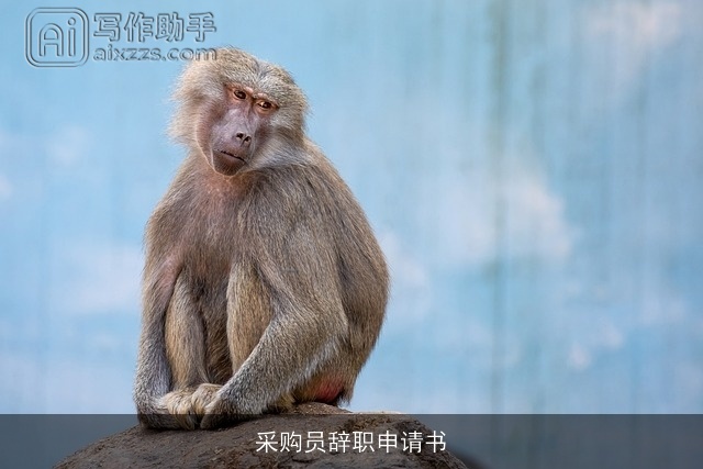 采购员辞职申请书 采购员辞职申请书