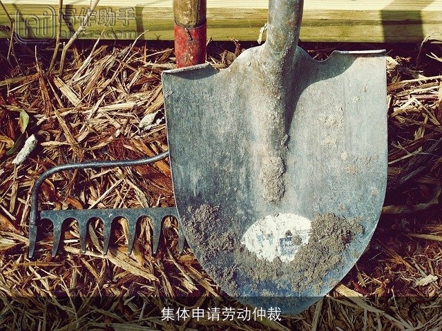 集体申请劳动仲裁 集体申请劳动仲裁