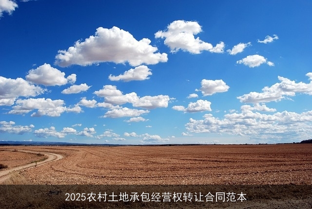 2025农村土地承包经营权转让合同范本 2025农村土地承包经营权转让合同范本
