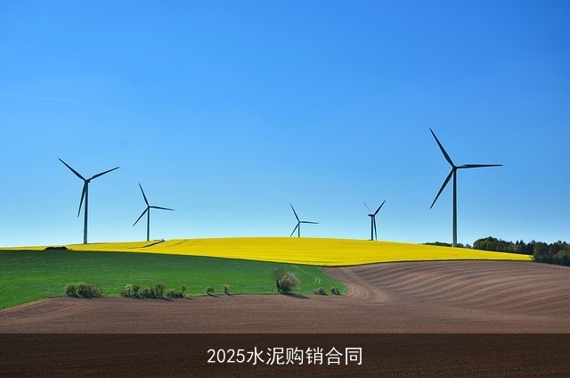 2025水泥购销合同 2025水泥购销合同