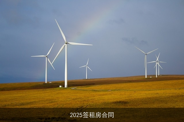 2025签租房合同 2025签租房合同