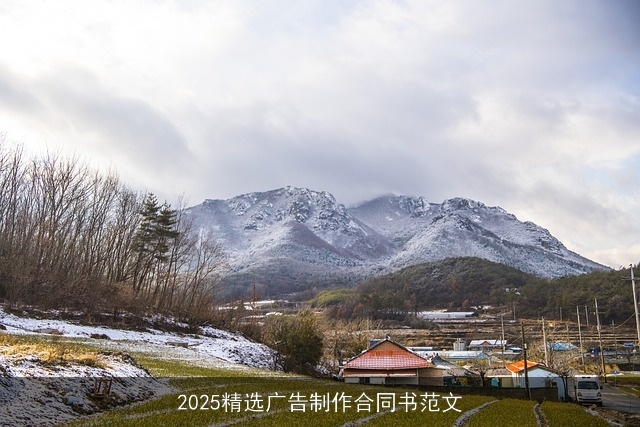 2025精选广告制作合同书范文 2025精选广告制作合同书范文