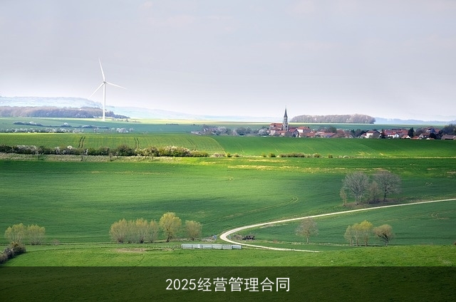 2025经营管理合同 2025经营管理合同
