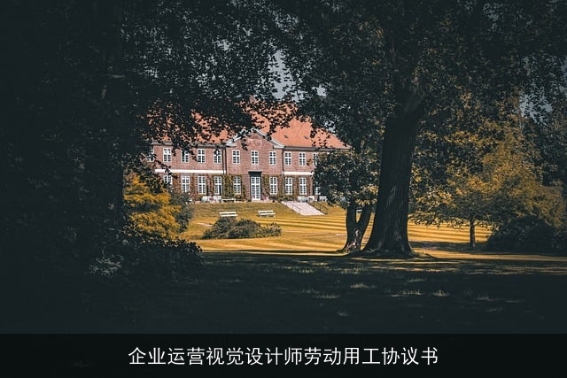 企业运营视觉设计师劳动用工协议书 企业运营视觉设计师劳动用工协议书