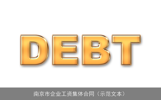 南京市企业工资集体合同(示范文本) 南京市企业工资集体合同(示范文本)