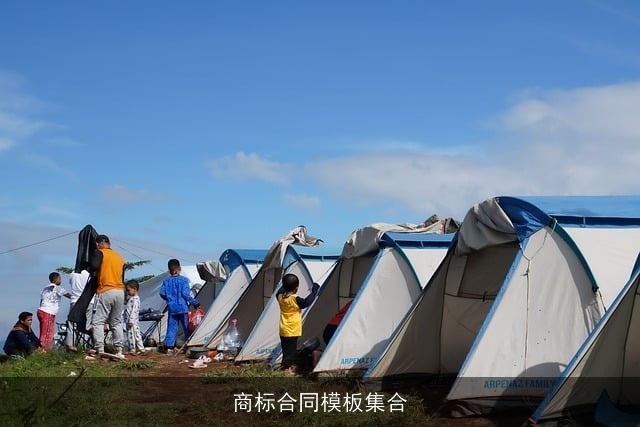 商标合同模板集合 商标合同模板集合