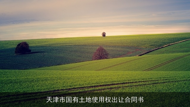 天津市国有土地使用权出让合同书 天津市国有土地使用权出让合同书