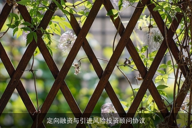 定向融资与引进风险投资顾问协议 定向融资与引进风险投资顾问协议