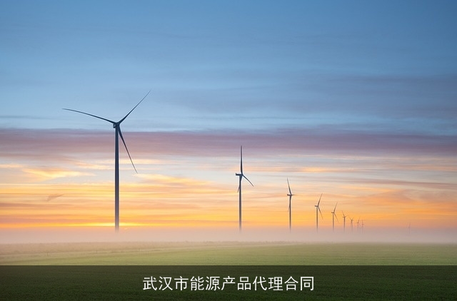 武汉市能源产品代理合同 武汉市能源产品代理合同