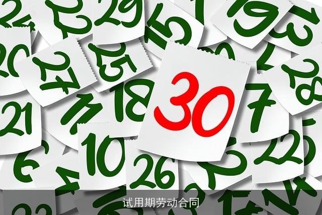 试用期劳动合同 试用期劳动合同