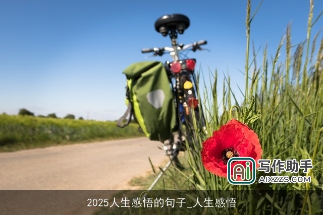 2025人生感悟的句子_人生感悟 2025人生感悟的句子_人生感悟