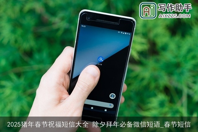 2025猪年春节祝福短信大全 除夕拜年必备微信短语_春节短信 2025猪年春节祝福短信大全 除夕拜年必备微信短语_春节短信
