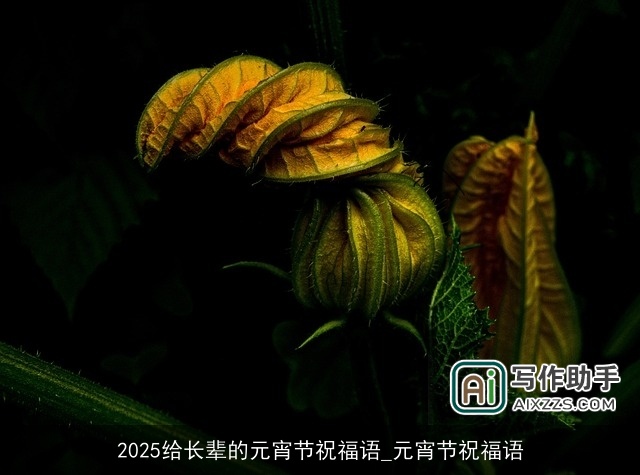 2025给长辈的元宵节祝福语_元宵节祝福语 2025给长辈的元宵节祝福语_元宵节祝福语