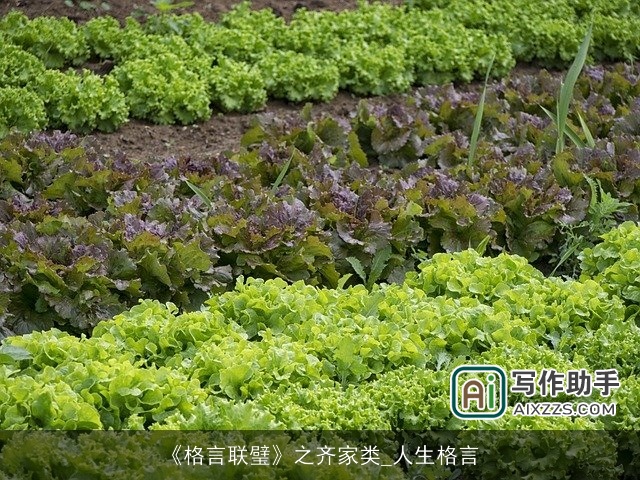 《格言联璧》之齐家类_人生格言 《格言联璧》之齐家类_人生格言