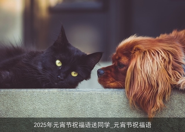 2025年元宵节祝福语送同学_元宵节祝福语 2025年元宵节祝福语送同学_元宵节祝福语