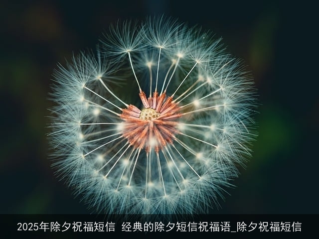 2025年除夕祝福短信 经典的除夕短信祝福语_除夕祝福短信 2025年除夕祝福短信 经典的除夕短信祝福语_除夕祝福短信