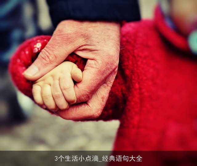 3个生活小点滴_经典语句大全 3个生活小点滴_经典语句大全