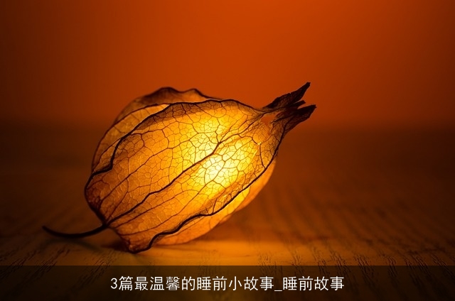 3篇最温馨的睡前小故事_睡前故事 3篇最温馨的睡前小故事_睡前故事
