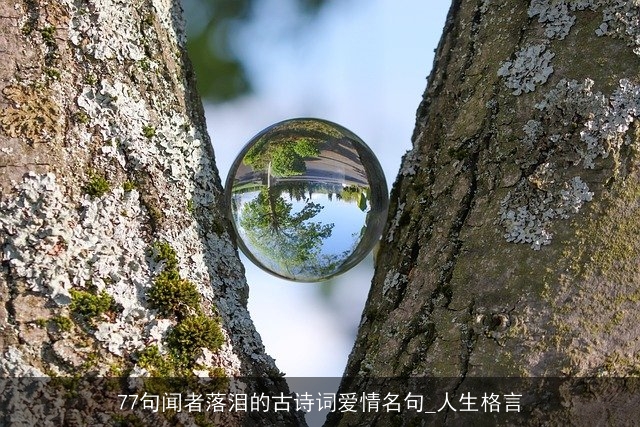 77句闻者落泪的古诗词爱情名句_人生格言 77句闻者落泪的古诗词爱情名句_人生格言