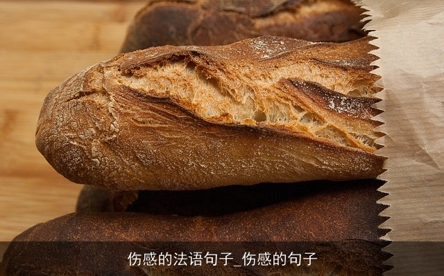 伤感的法语句子_伤感的句子 伤感的法语句子_伤感的句子