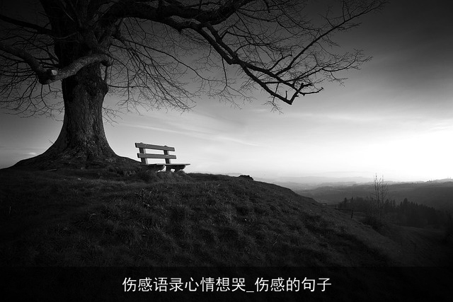 伤感语录心情想哭_伤感的句子 伤感语录心情想哭_伤感的句子