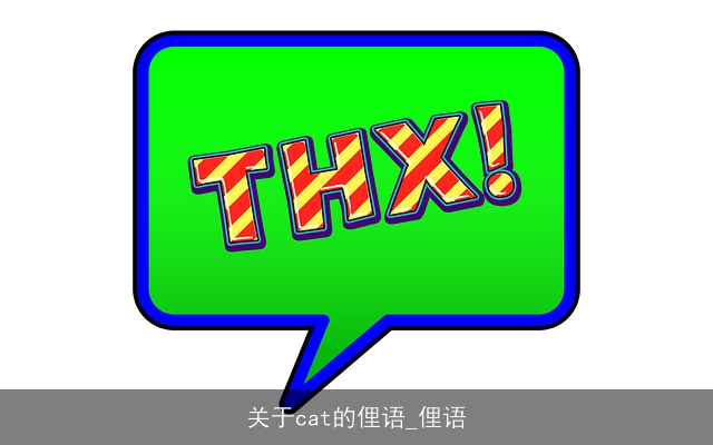关于cat的俚语_俚语 关于cat的俚语_俚语
