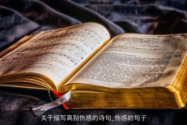 关于描写离别伤感的诗句_伤感的句子 关于描写离别伤感的诗句_伤感的句子