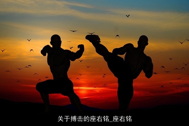 关于搏击的座右铭_座右铭 关于搏击的座右铭_座右铭