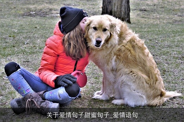 关于爱情句子甜蜜句子_爱情语句 关于爱情句子甜蜜句子_爱情语句