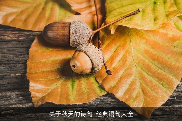 关于秋天的诗句_经典语句大全 关于秋天的诗句_经典语句大全