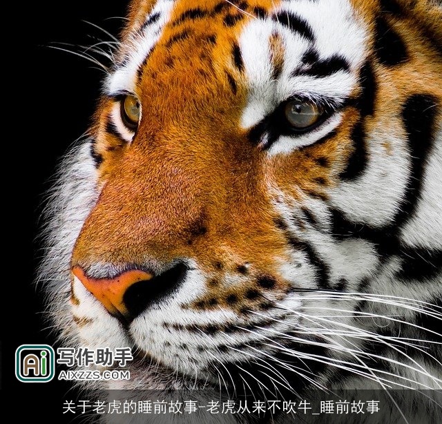 关于老虎的睡前故事-老虎从来不吹牛_睡前故事 关于老虎的睡前故事-老虎从来不吹牛_睡前故事