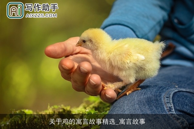 关于鸡的寓言故事精选_寓言故事 关于鸡的寓言故事精选_寓言故事