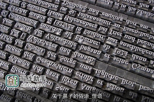 关于鼻子的俗语_俚语 关于鼻子的俗语_俚语