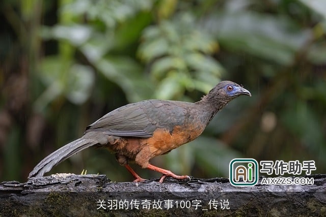 关羽的传奇故事100字_传说 关羽的传奇故事100字_传说