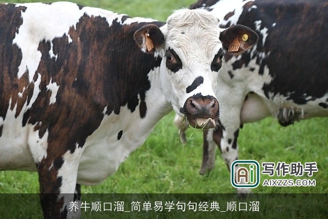 养牛顺口溜_简单易学句句经典_顺口溜 养牛顺口溜_简单易学句句经典_顺口溜