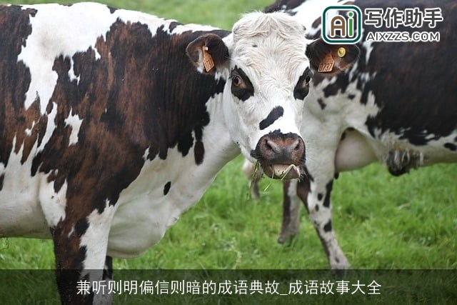 兼听则明偏信则暗的成语典故_成语故事大全 兼听则明偏信则暗的成语典故_成语故事大全