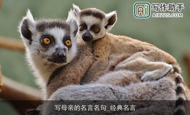 写母亲的名言名句_经典名言 写母亲的名言名句_经典名言