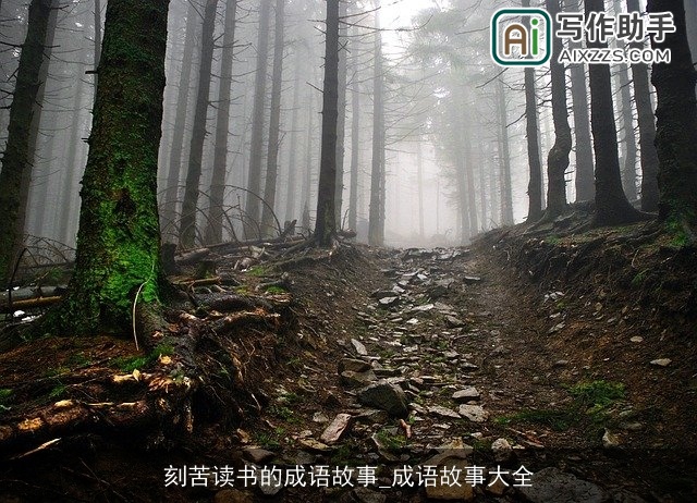 刻苦读书的成语故事_成语故事大全 刻苦读书的成语故事_成语故事大全