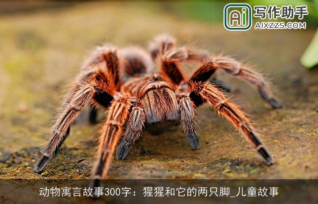 动物寓言故事300字:猩猩和它的两只脚_儿童故事 动物寓言故事300字:猩猩和它的两只脚_儿童故事