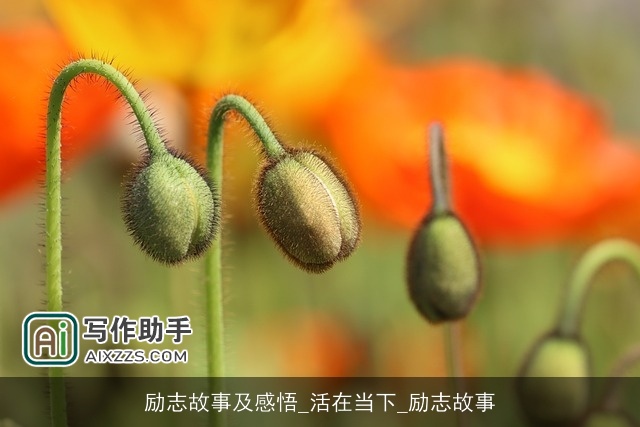 励志故事及感悟_活在当下_励志故事 励志故事及感悟_活在当下_励志故事