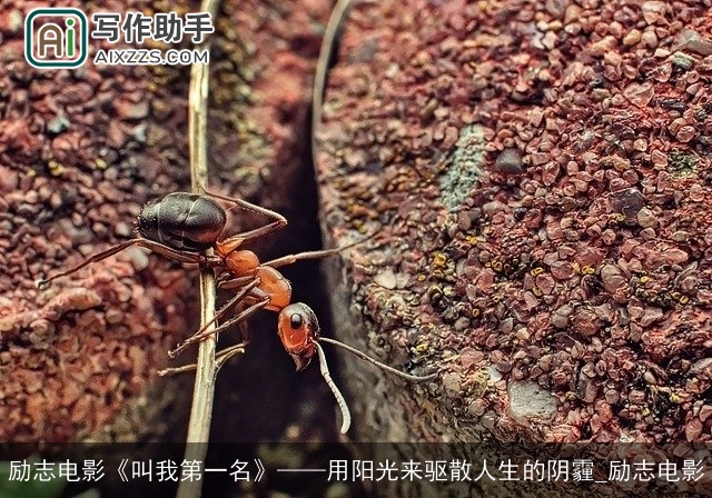 励志电影《叫我第一名》用阳光来驱散人生的阴霾_励志电影 励志电影《叫我第一名》用阳光来驱散人生的阴霾_励志电影