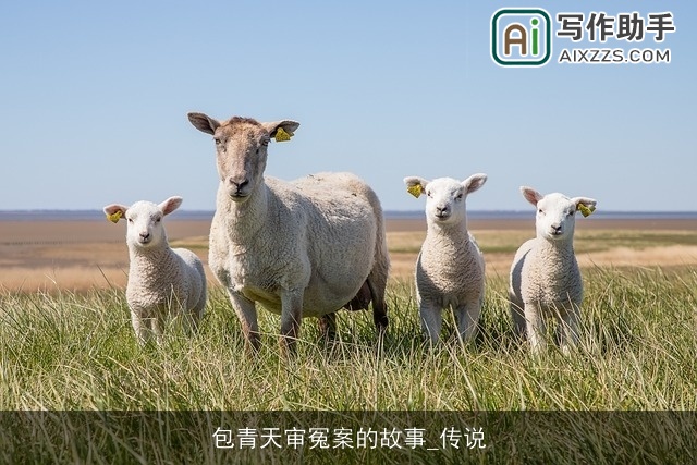 包青天审冤案的故事_传说 包青天审冤案的故事_传说