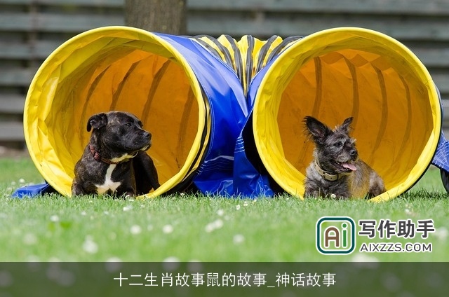 十二生肖故事鼠的故事_神话故事 十二生肖故事鼠的故事_神话故事