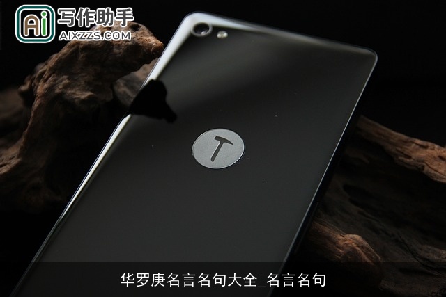 华罗庚名言名句大全_名言名句 华罗庚名言名句大全_名言名句