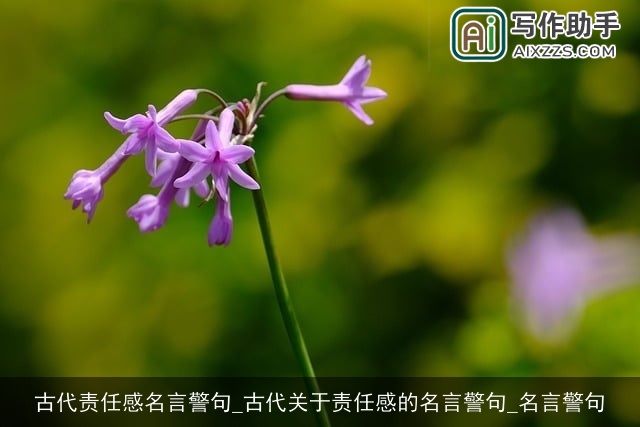 古代责任感名言警句_古代关于责任感的名言警句_名言警句 古代责任感名言警句_古代关于责任感的名言警句_名言警句