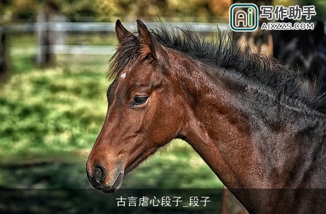 古言虐心段子_段子 古言虐心段子_段子