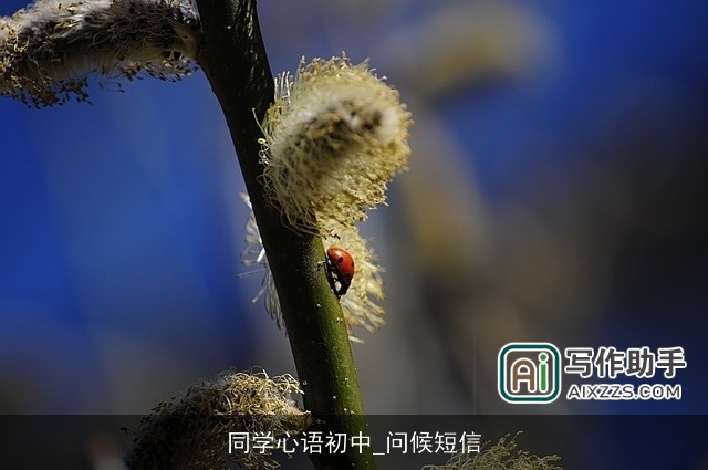 同学心语初中_问候短信 同学心语初中_问候短信